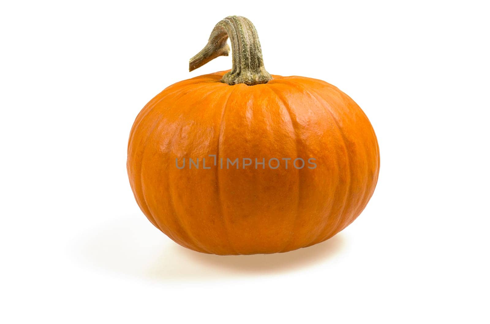 orange ornamental pumpkin