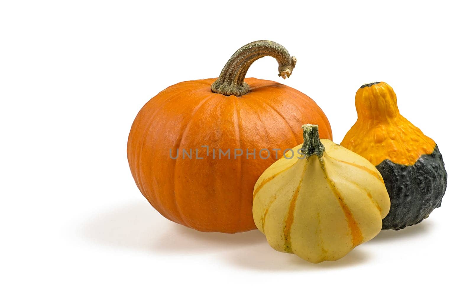 Composition of ornamental pumpkins