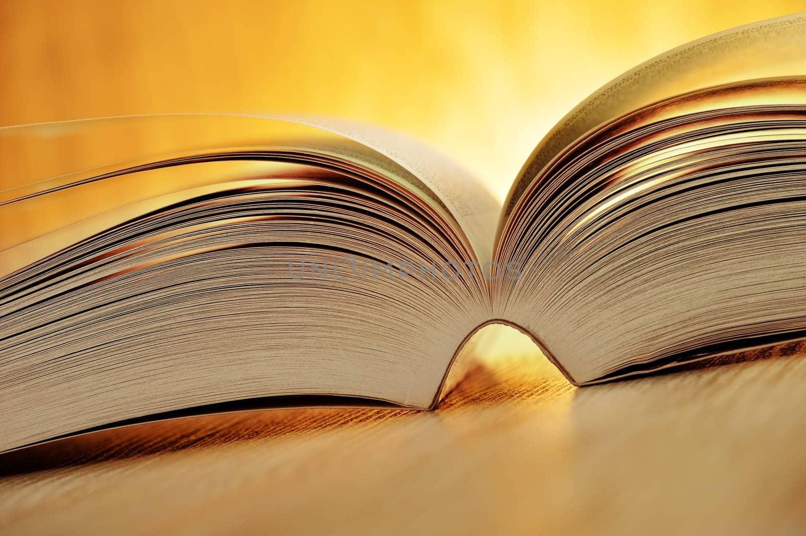 Composition with book on the table