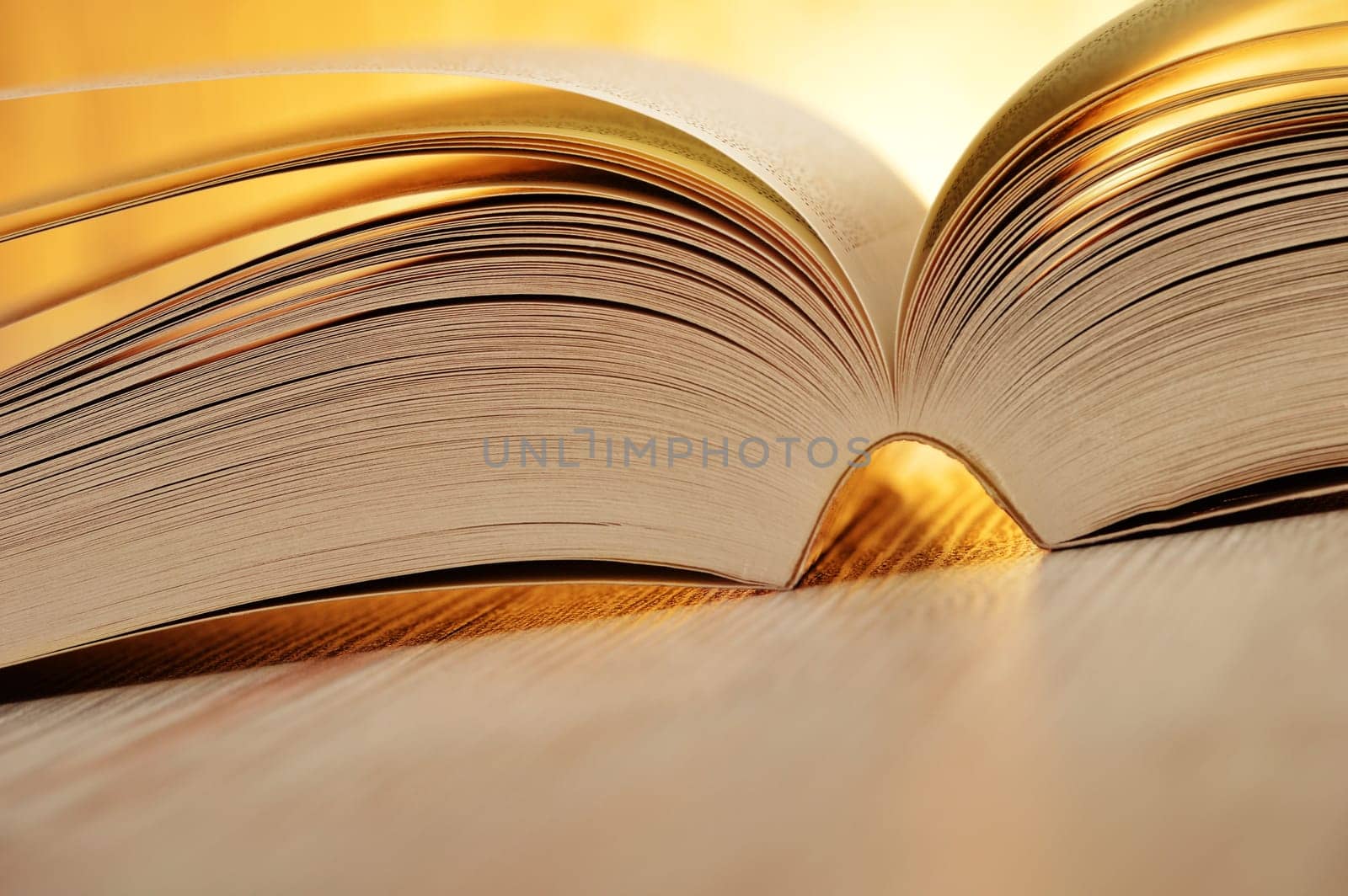 Composition with book on the table