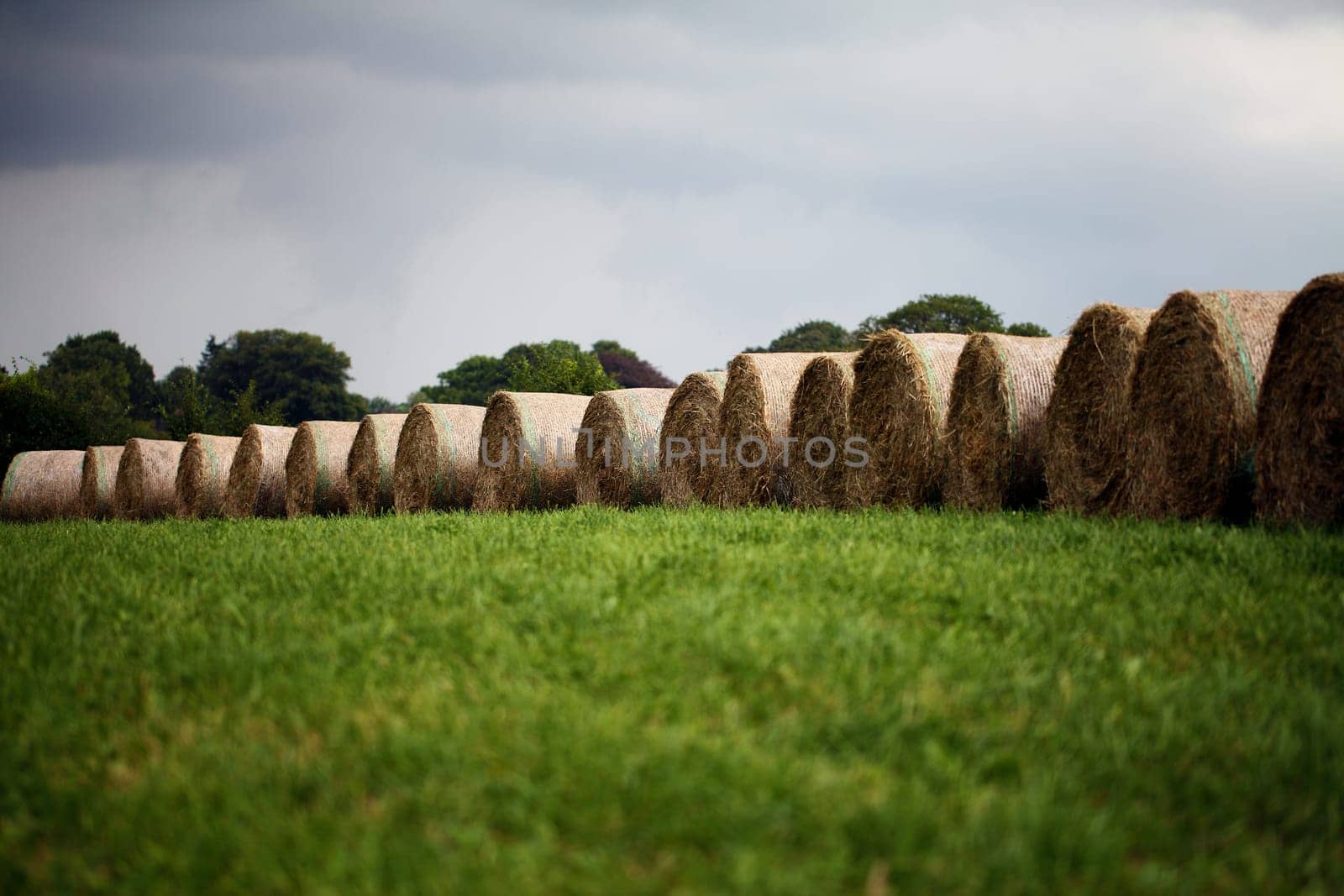 Bales of straw in front of a sky with rain clouds