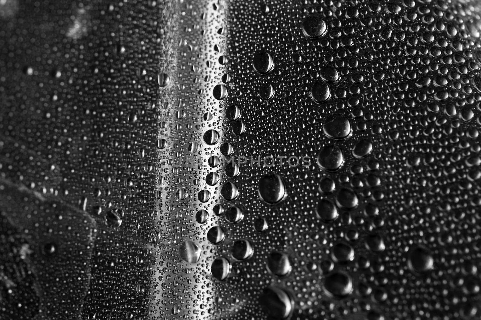 Water droplets in a macro shot as a background