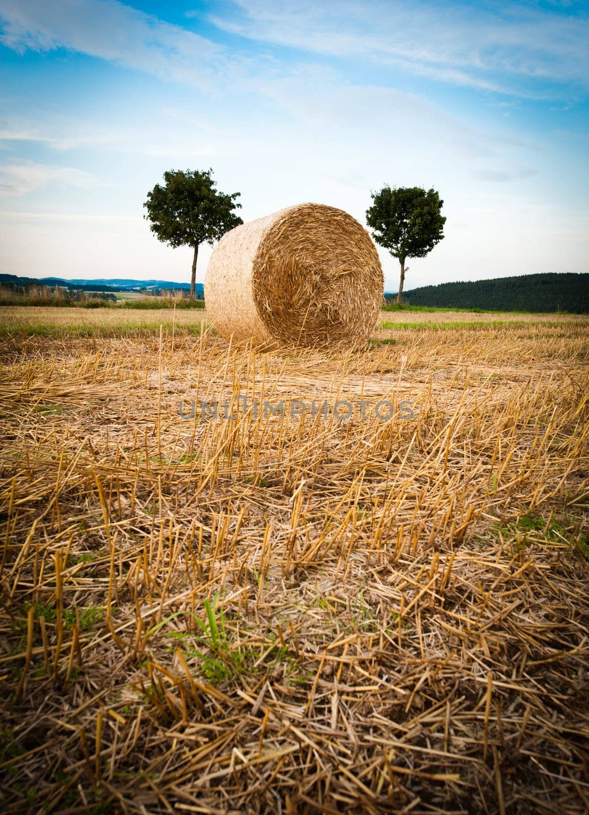Hay Bale and Trees taken in upper austria