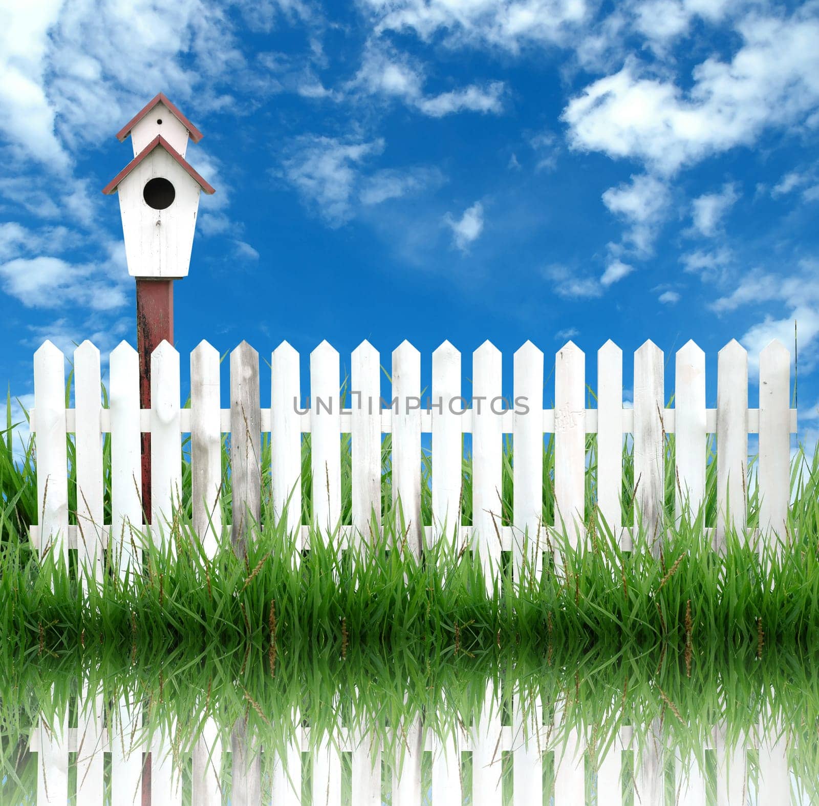 birdhouse with white fence and blue sky