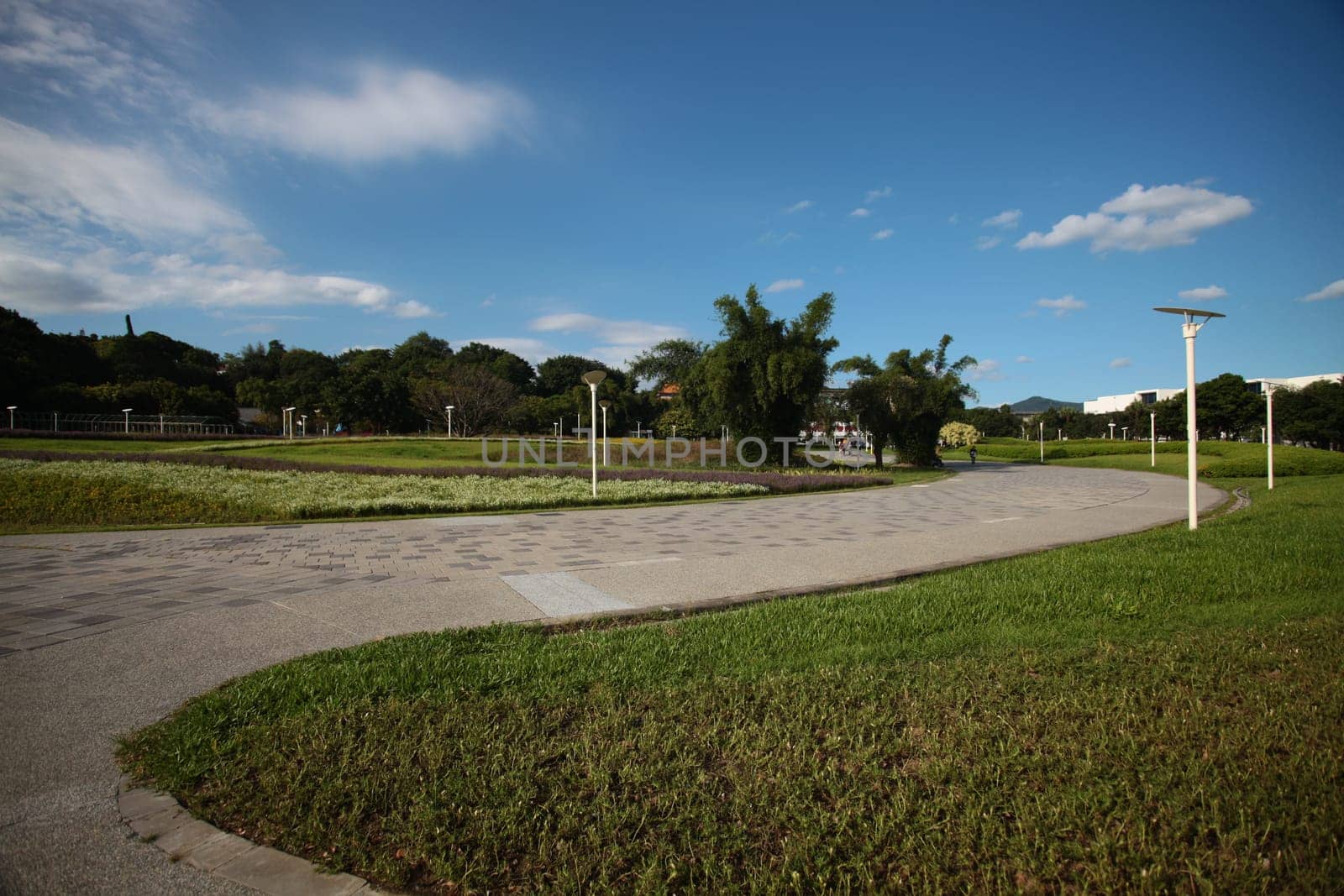Landscaped flower garden