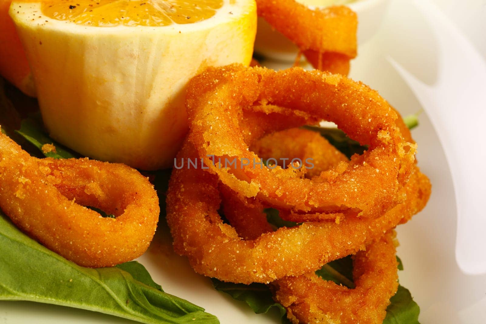 Delicious fried calamars with lemon and salad