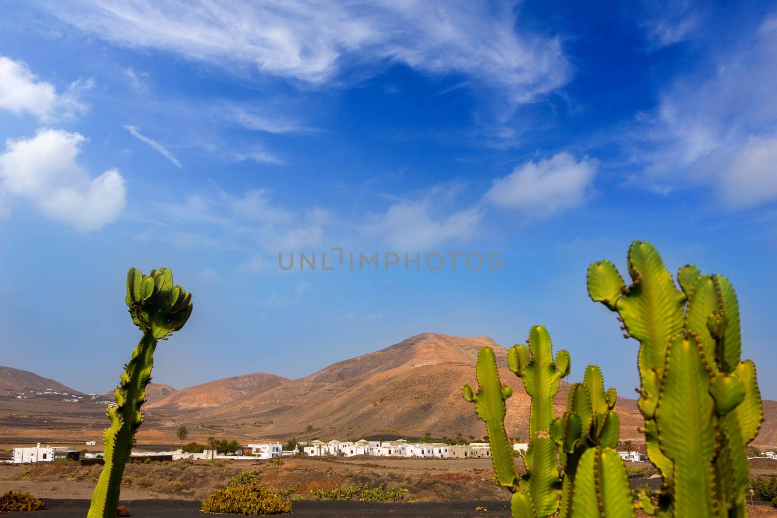 Lanzarote Yaiza white village with cactus and mountains in Canary Islands