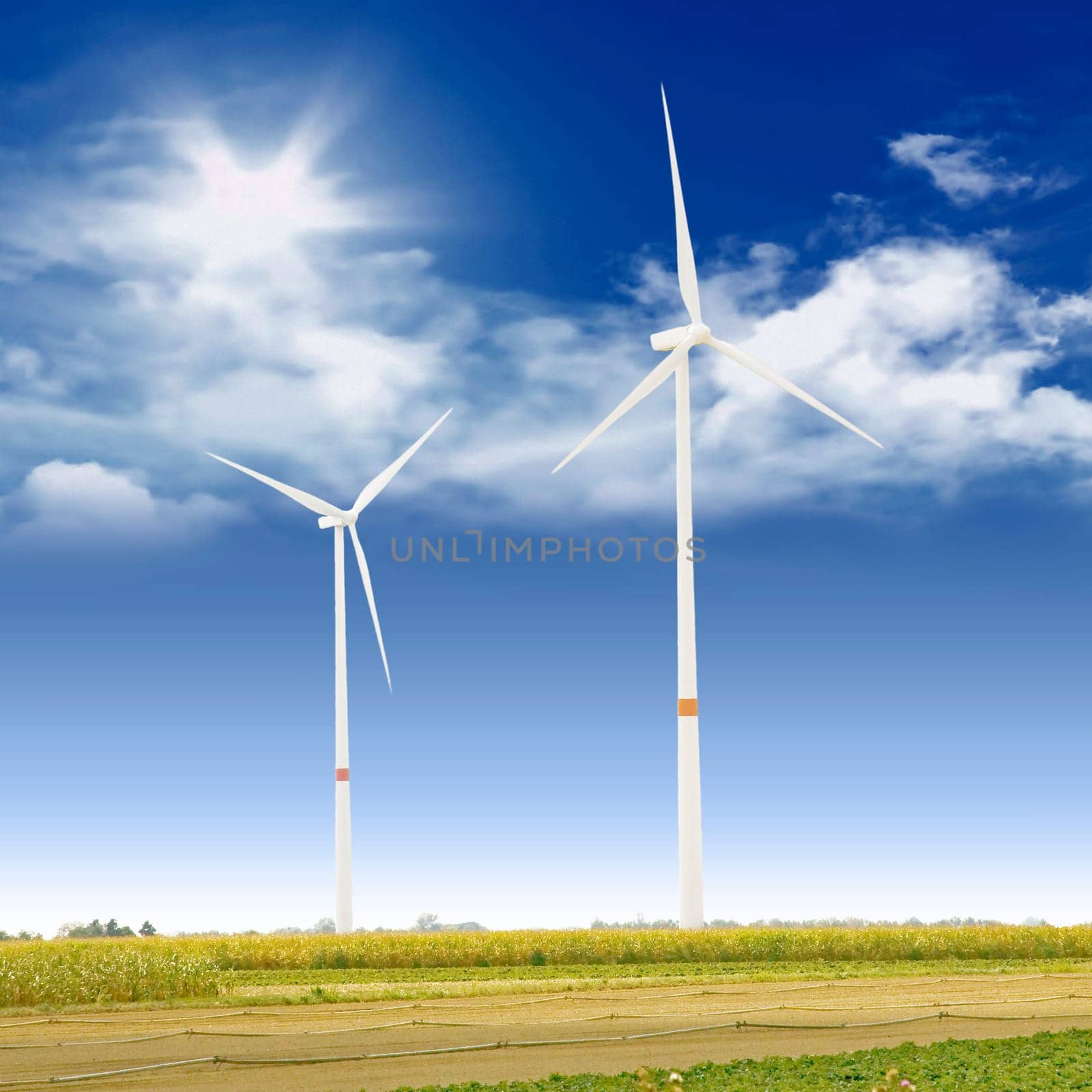 wind turbines on a sunny day with field in front