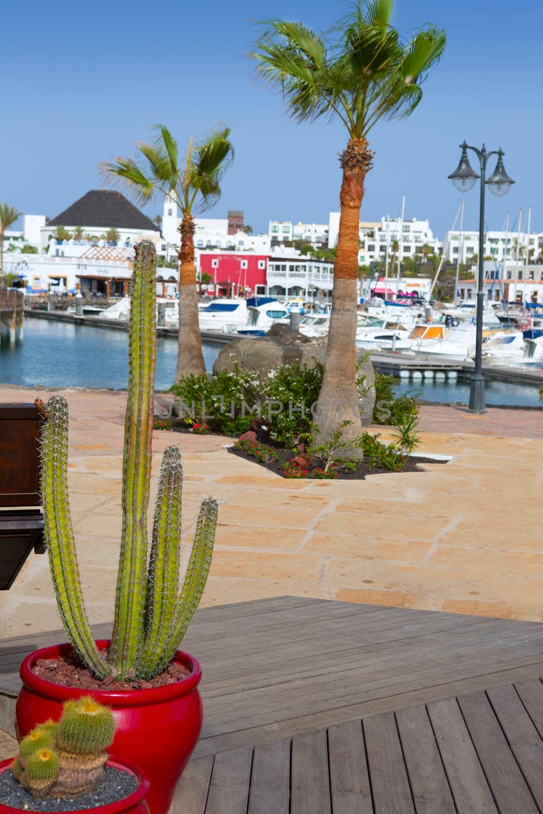 Lanzarote Marina Rubicon port at Playa Blanca in Canary Islands