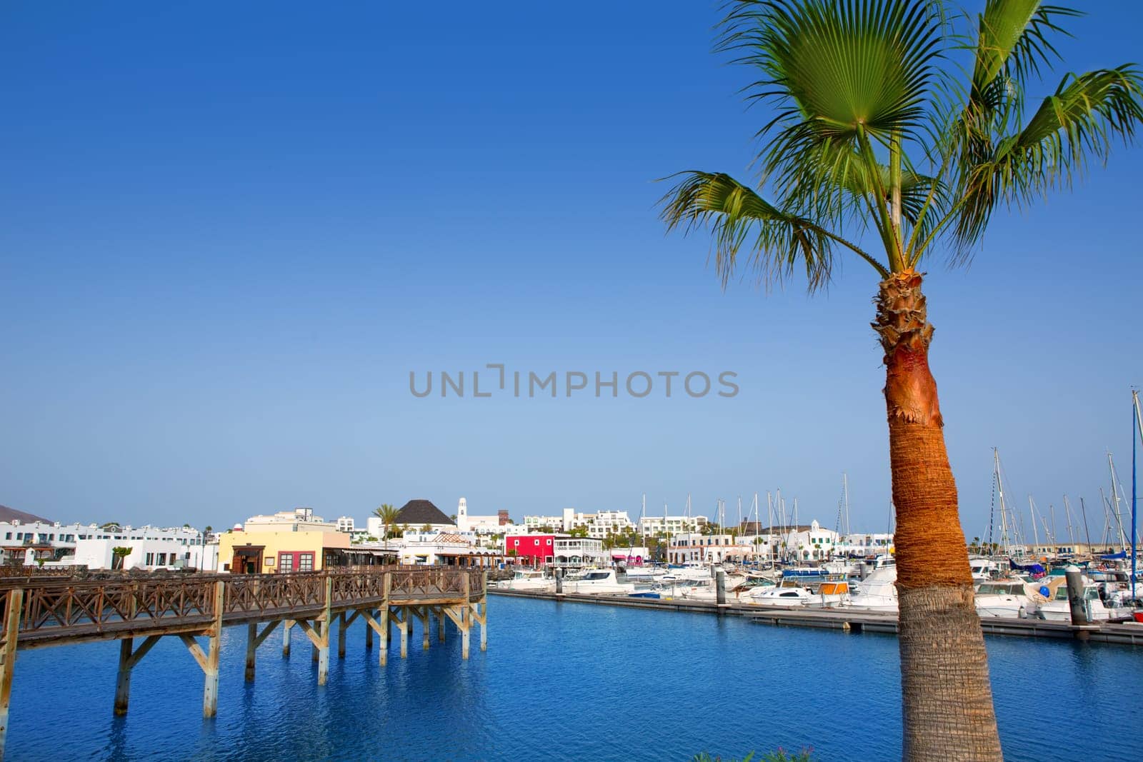 Lanzarote Marina Rubicon port at Playa Blanca in Canary Islands