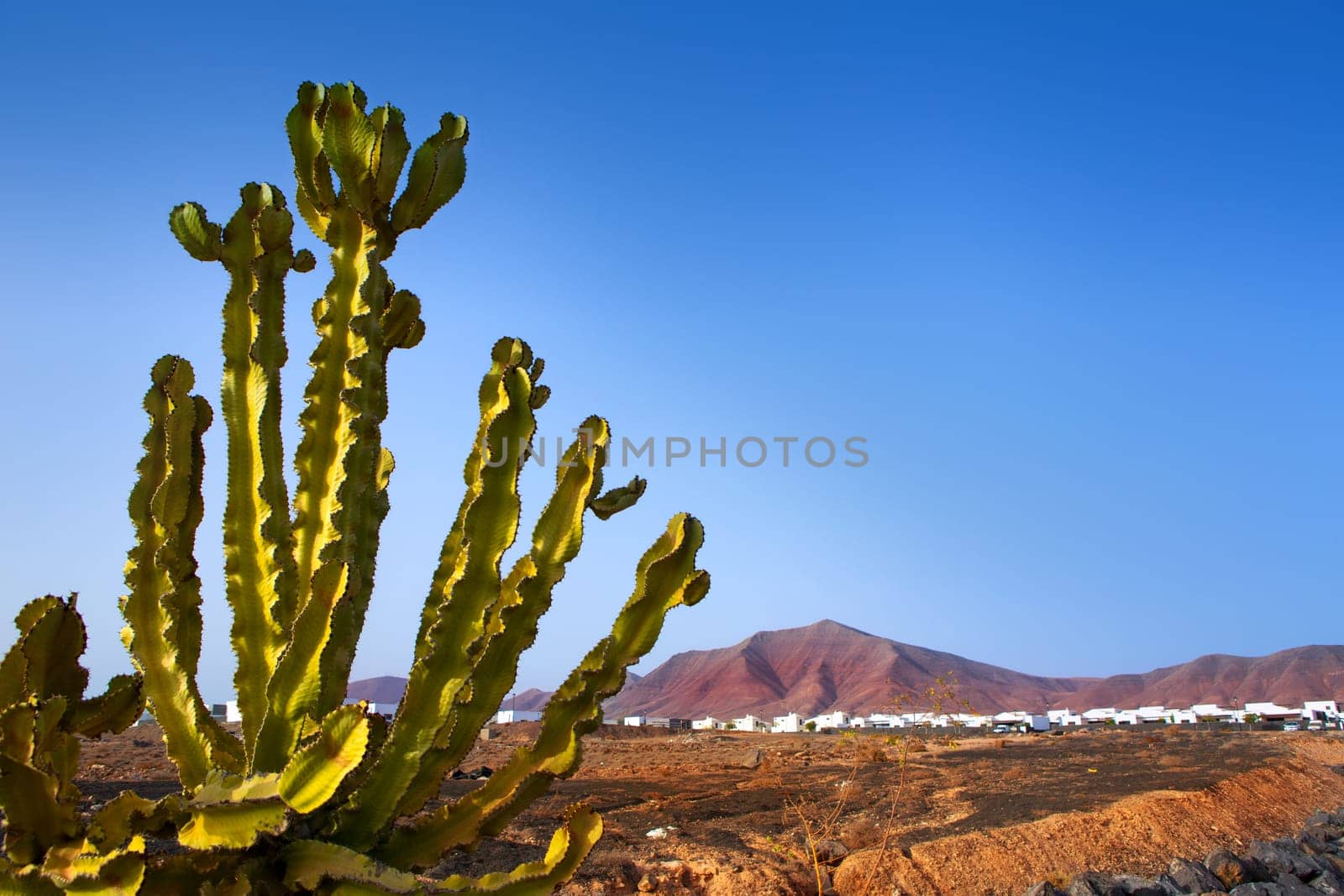 Ajaches mountain in Playa Blanca Lanzarote white houses