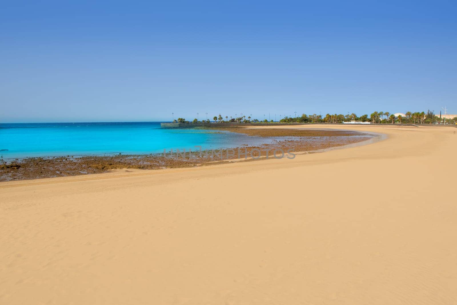 Arrecife Lanzarote Playa del Reducto beach aerial   view in Canary Islands