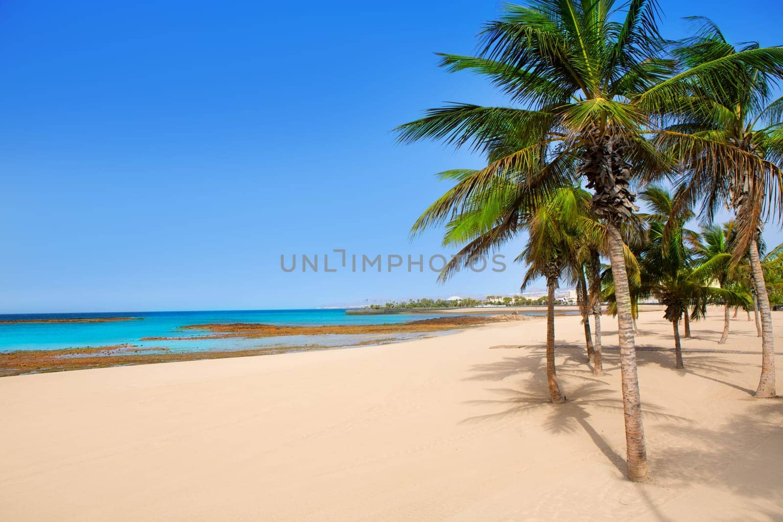 Arrecife Lanzarote Playa Reducto beach tropical palm trees at Canary Islands
