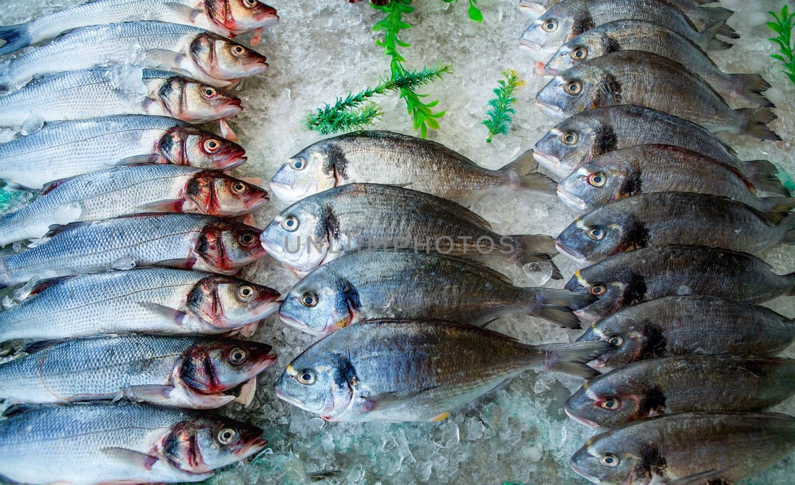Seabass and sea bream over ice raw fresh seafood fishes