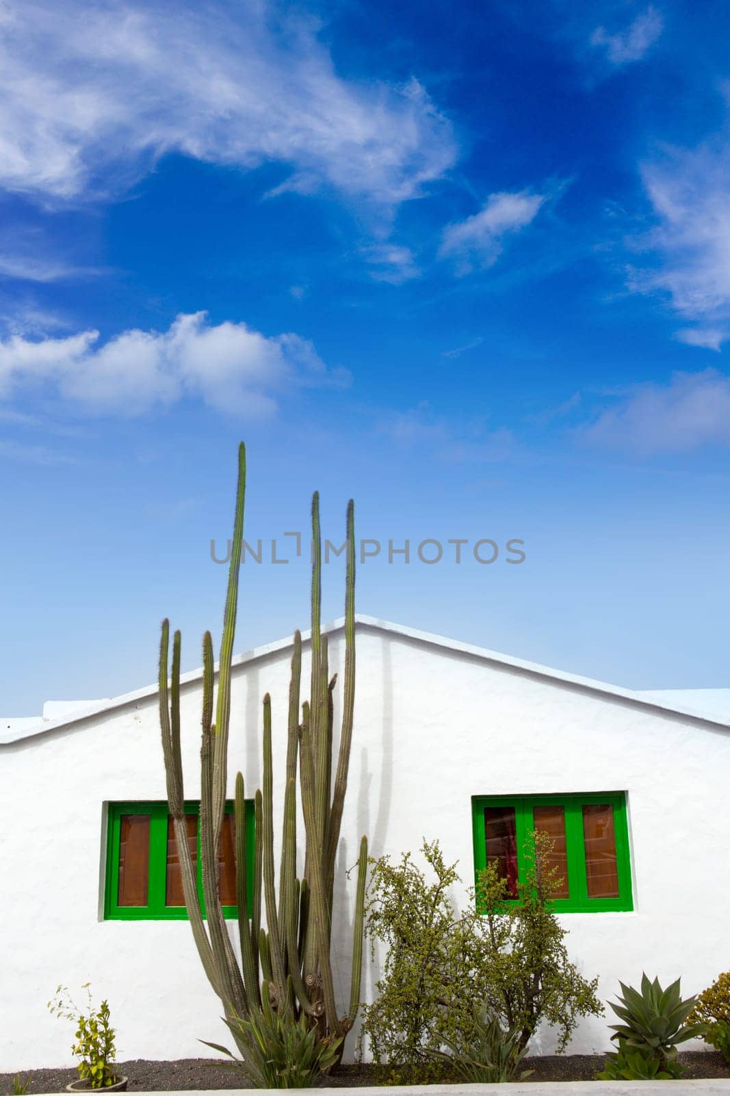 Lanzarote Teguise white and cactus village in Canary Islands