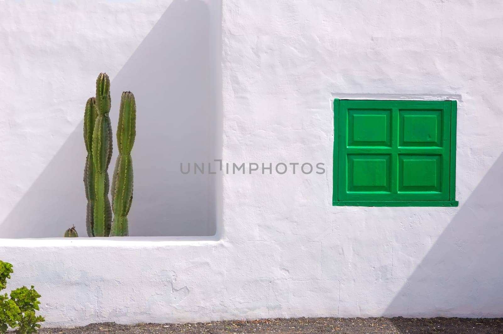 Lanzarote san Bartolome white typical house cactus and green window