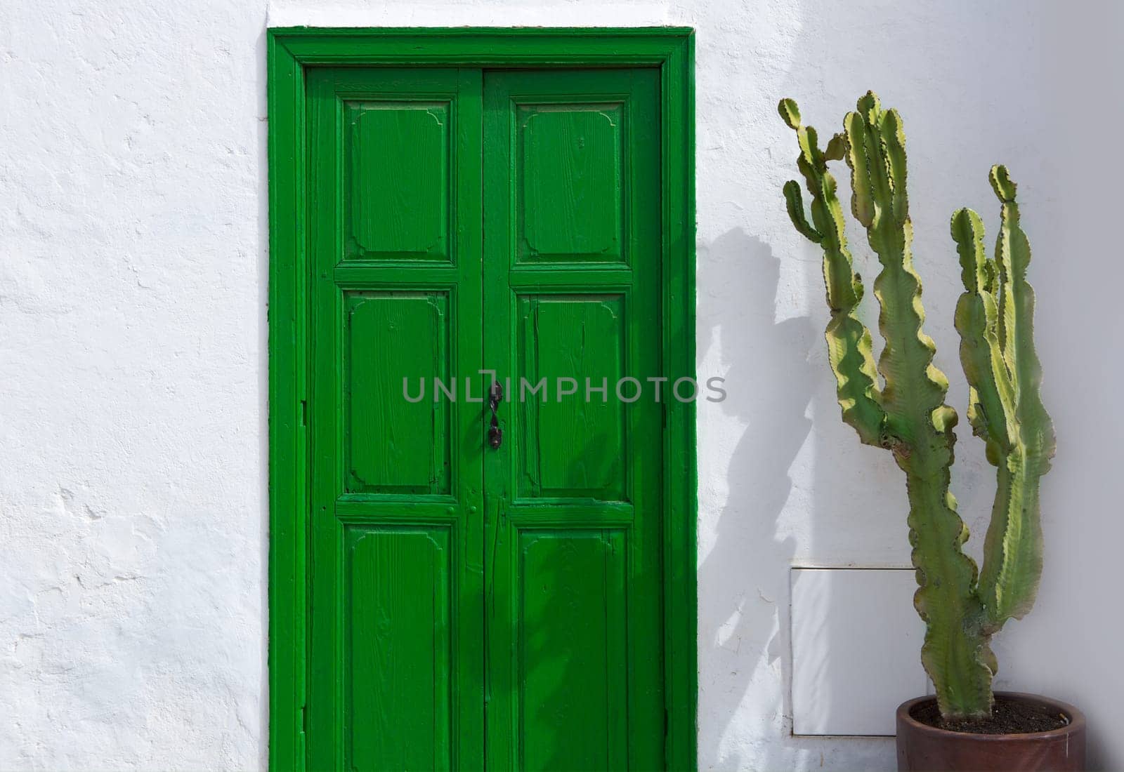 Lanzarote Teguise green door and cactus in Canary Islands