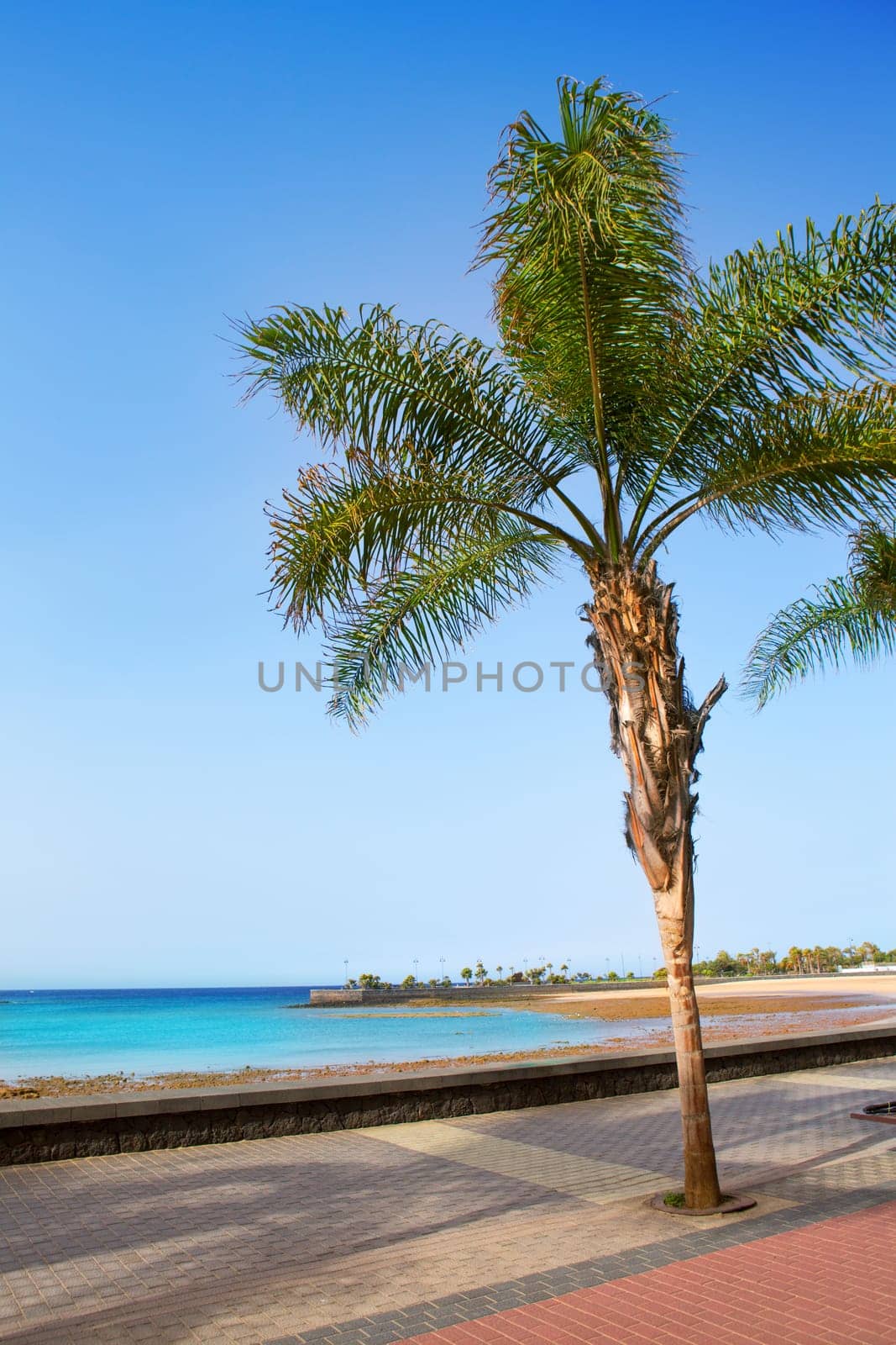 Arrecife Lanzarote Playa del Reducto beach in Canary Islands