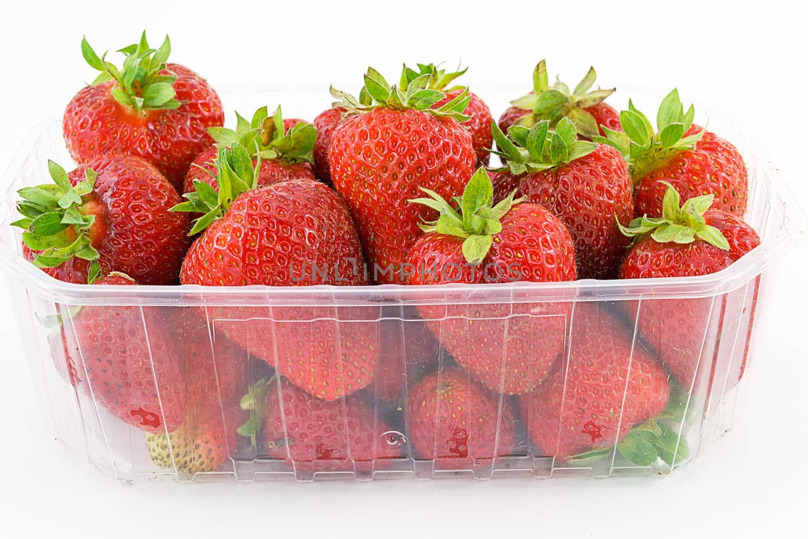 fruit