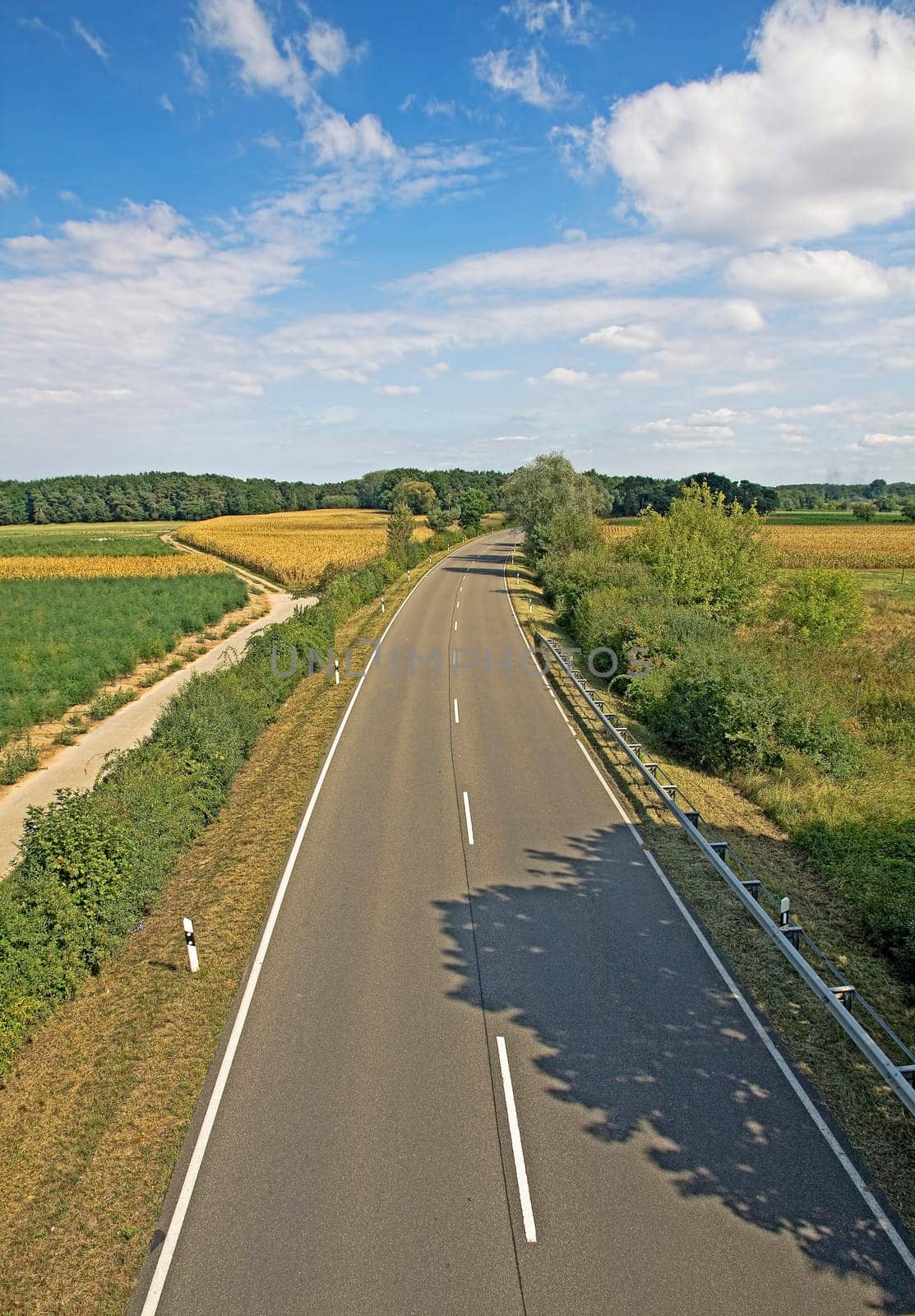 empty motorway sourrounded by bushes