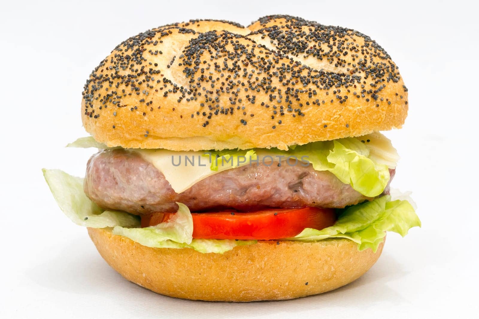 big sandwich isolated on white, Bread with poppy seeds