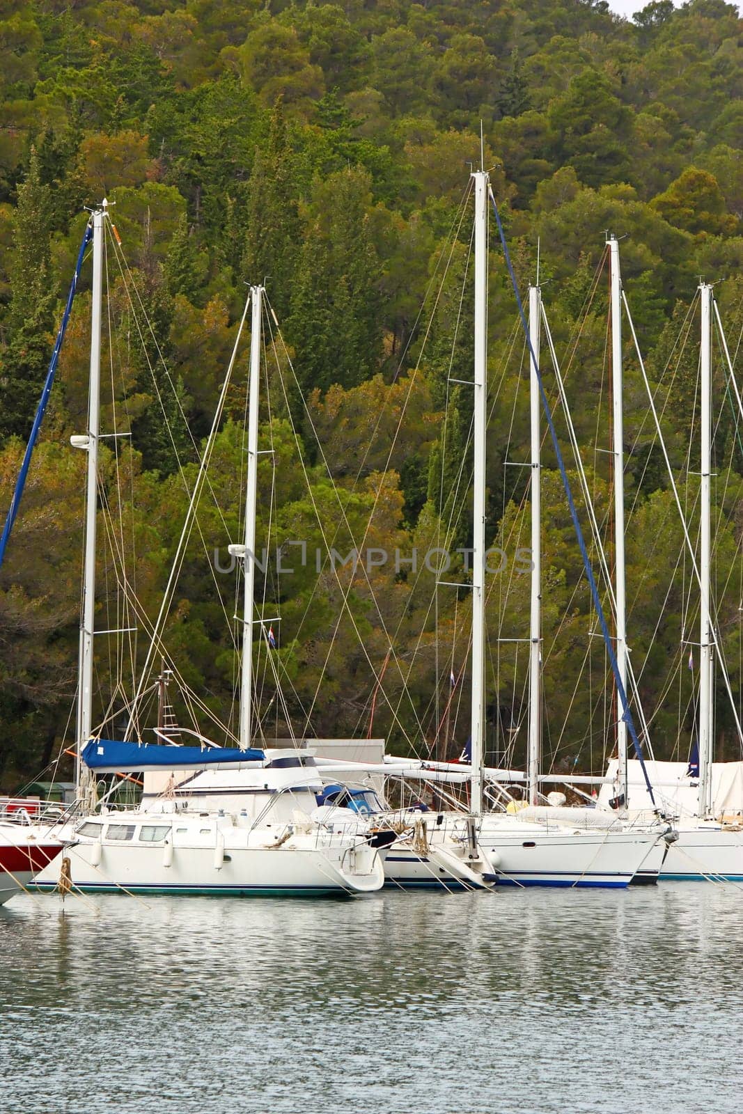 Yachts in a harbour, somewhere in a Mediterranean