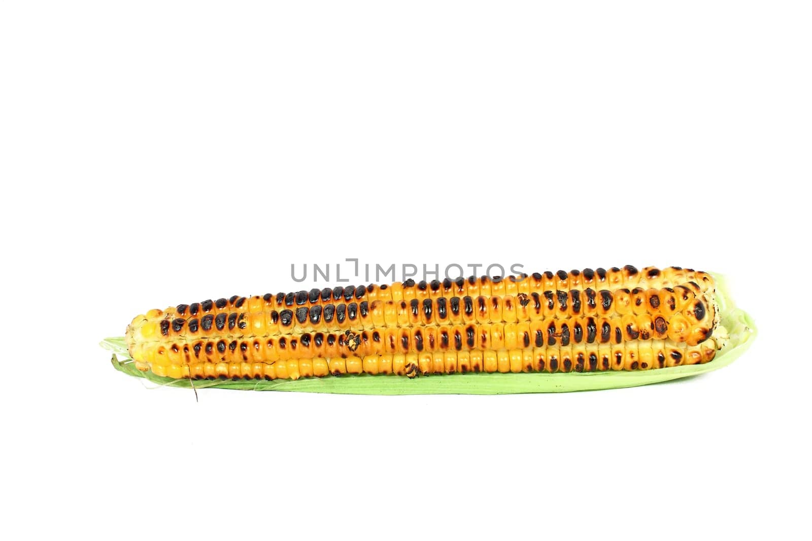 Grilled sweet corn cob isolated on white