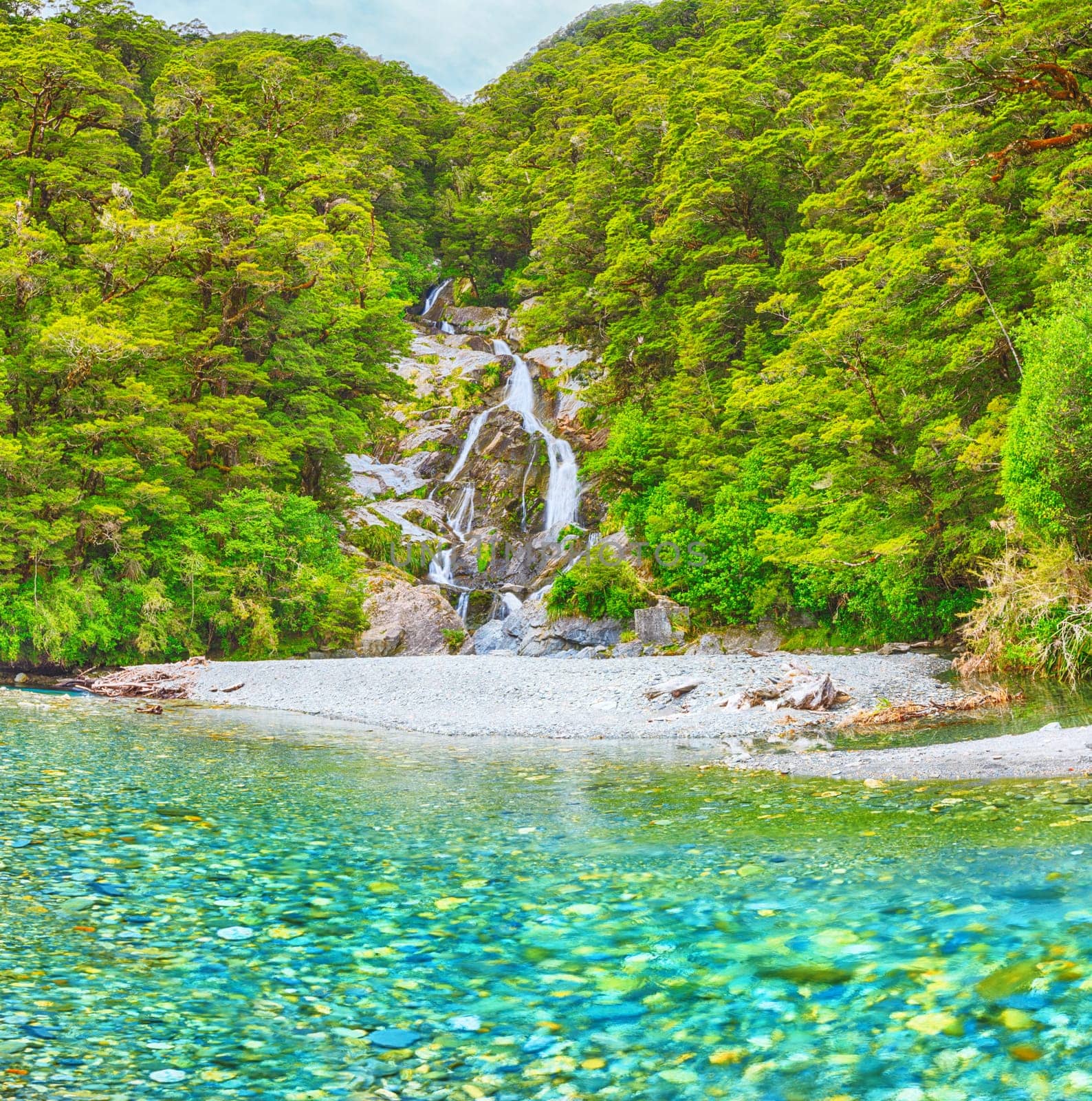 Roaring Billy Falls (Haast Pass, South Island, New Zealand)