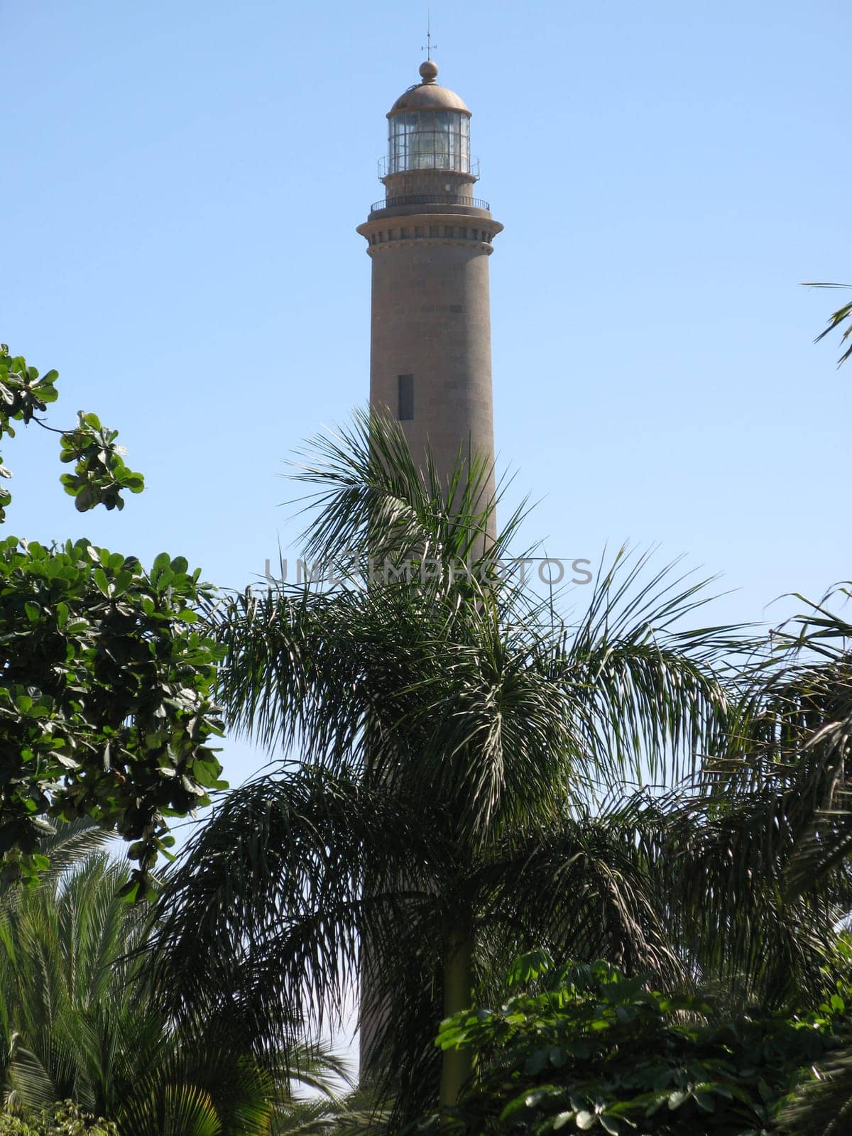 Lighthouse with Vegetation