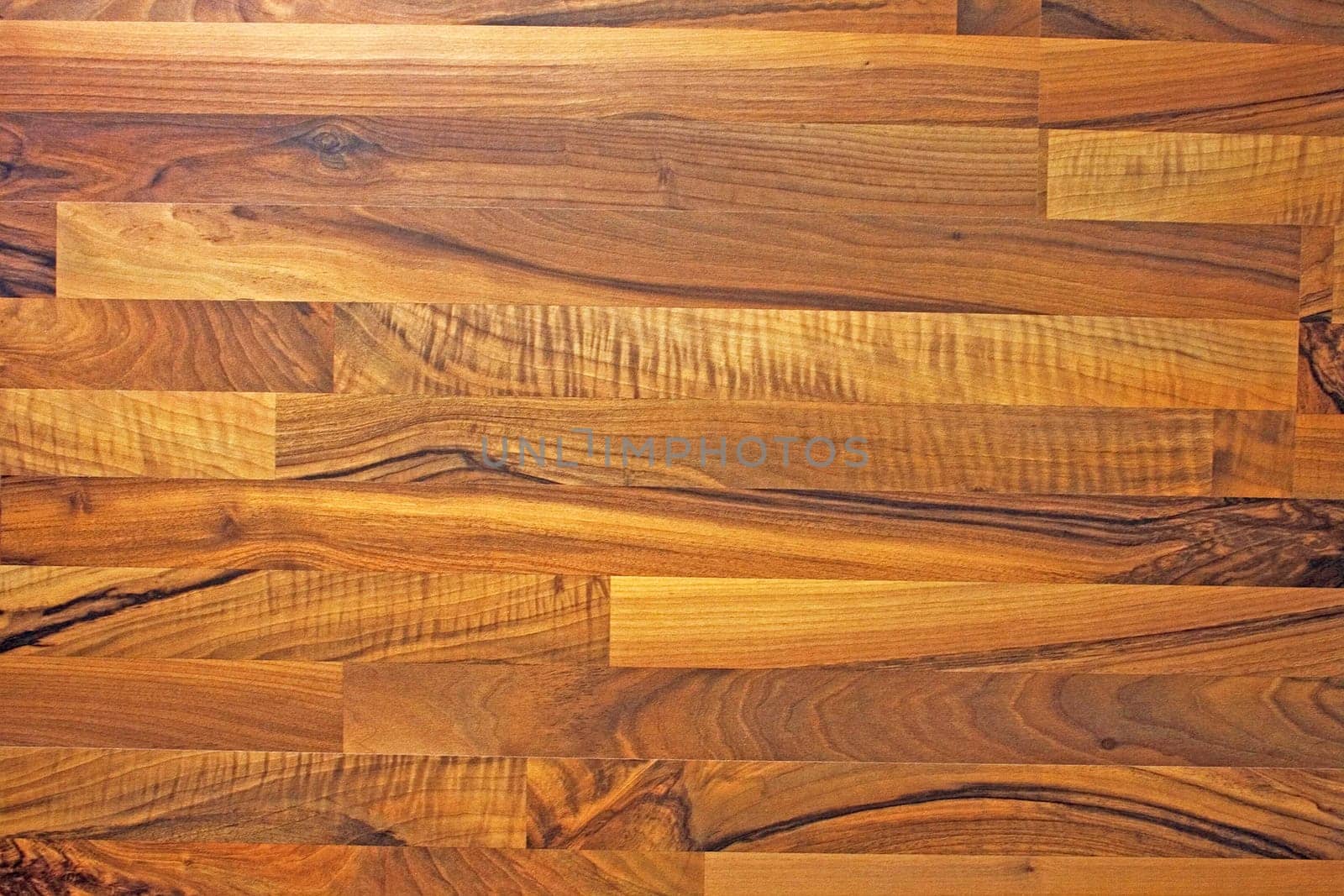 brown wooden floor, structured bacillary