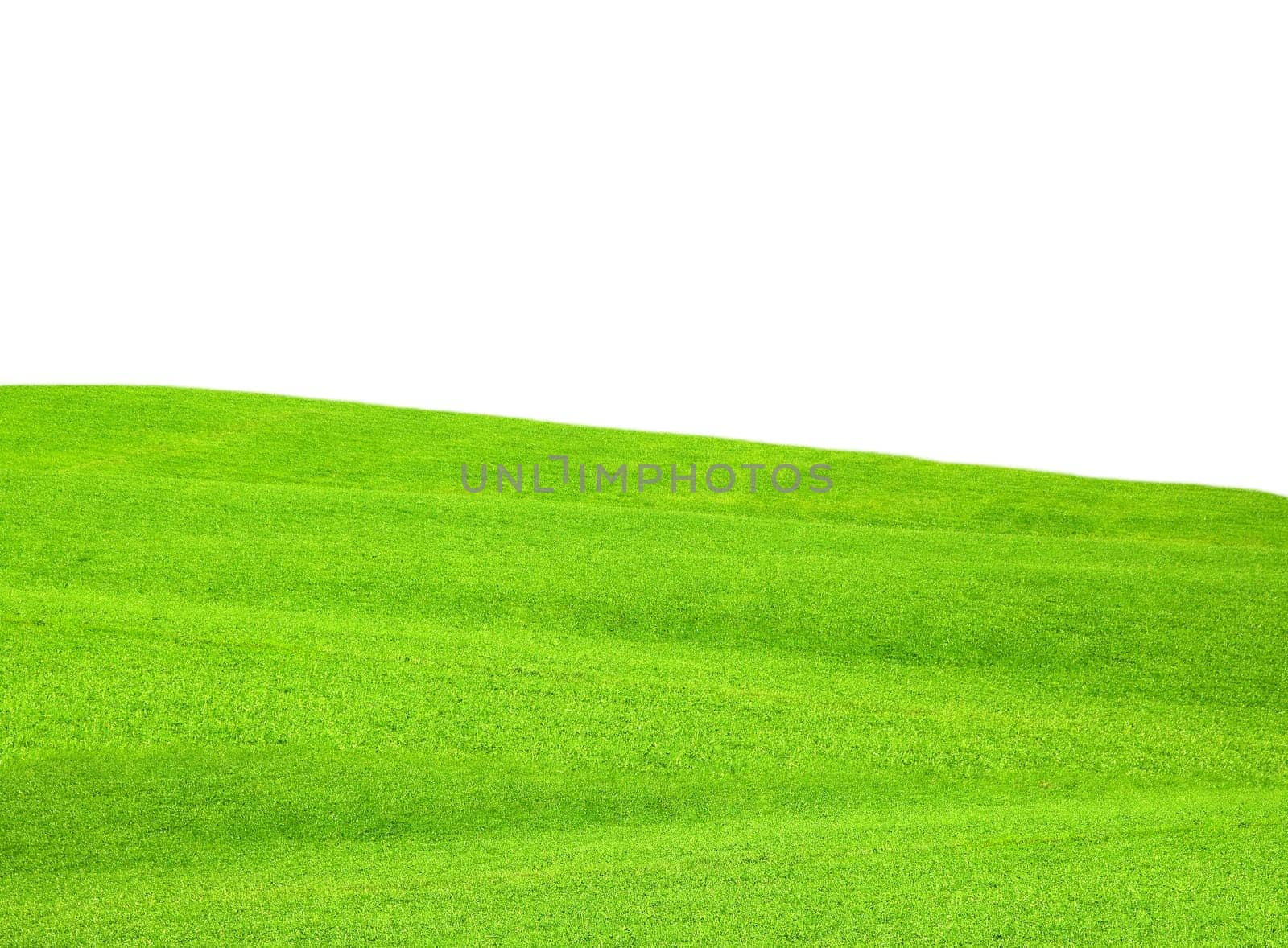 green grass hill with isolated white background