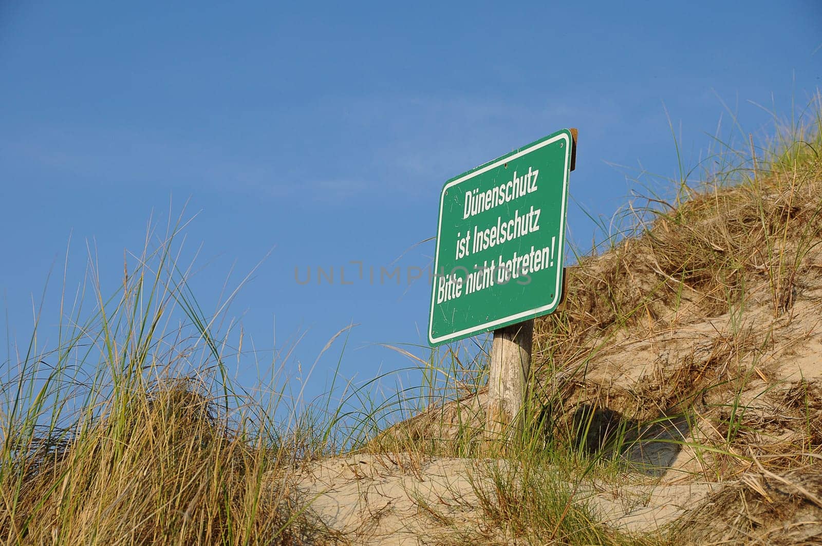 Dune protection