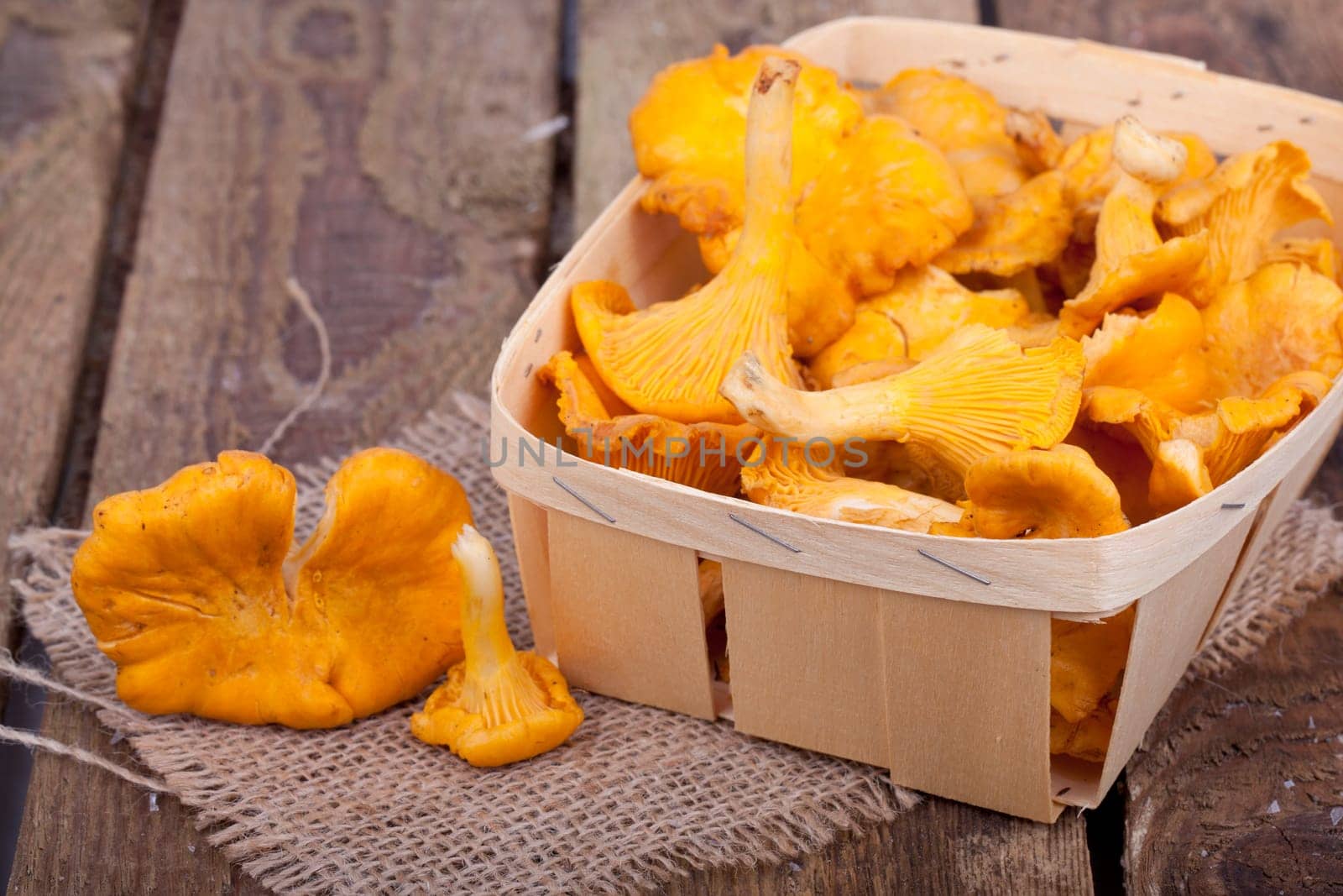 Chanterelles in the basket