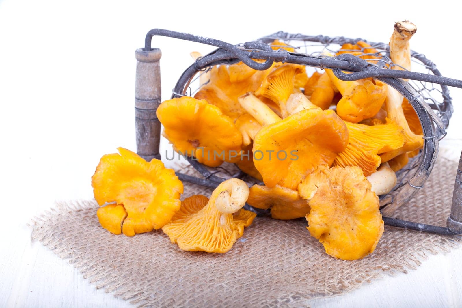 Chanterelles in a wire basket