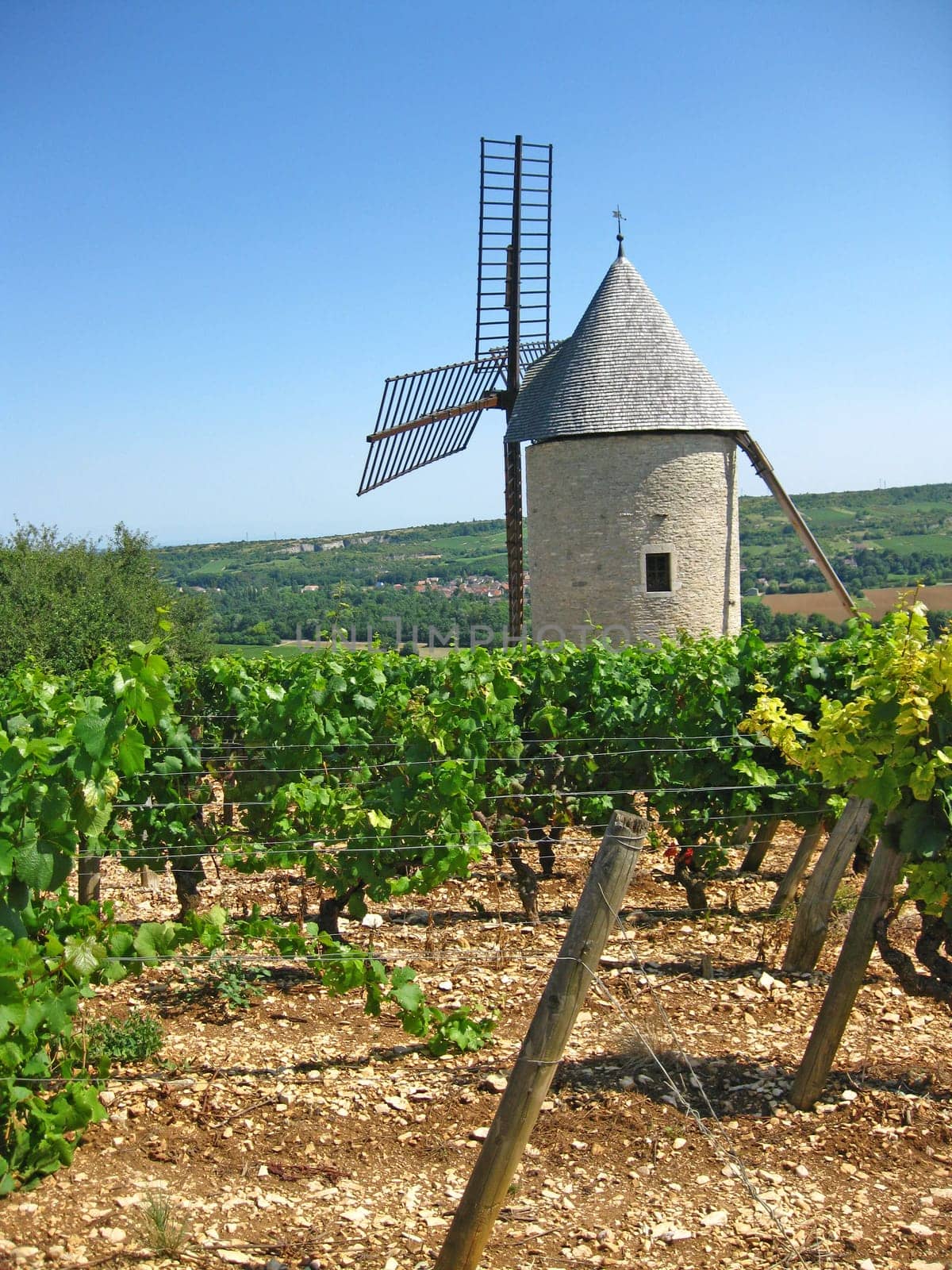 Windmill in the vineyards of Burgundy,Franconia