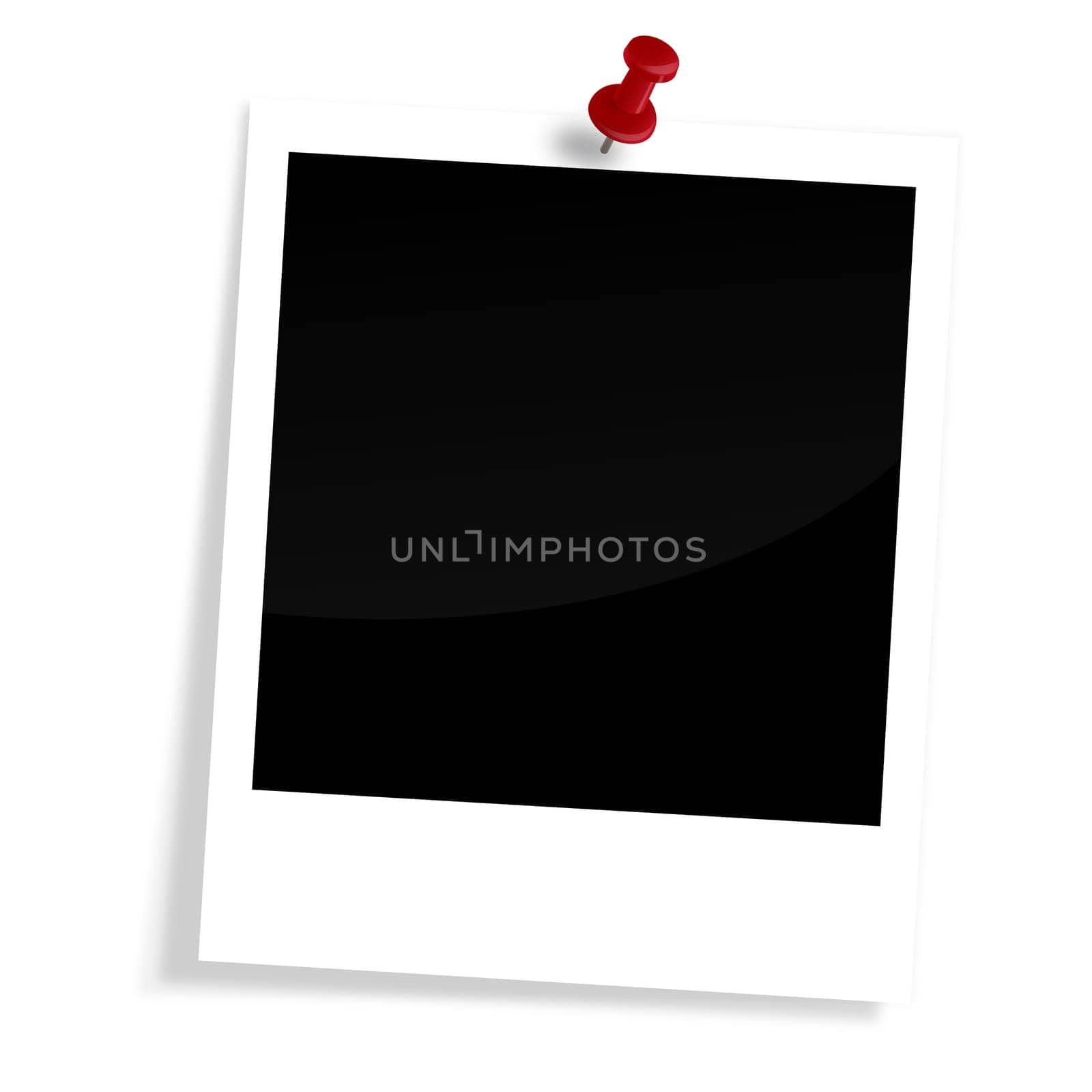 Polaroid with pin