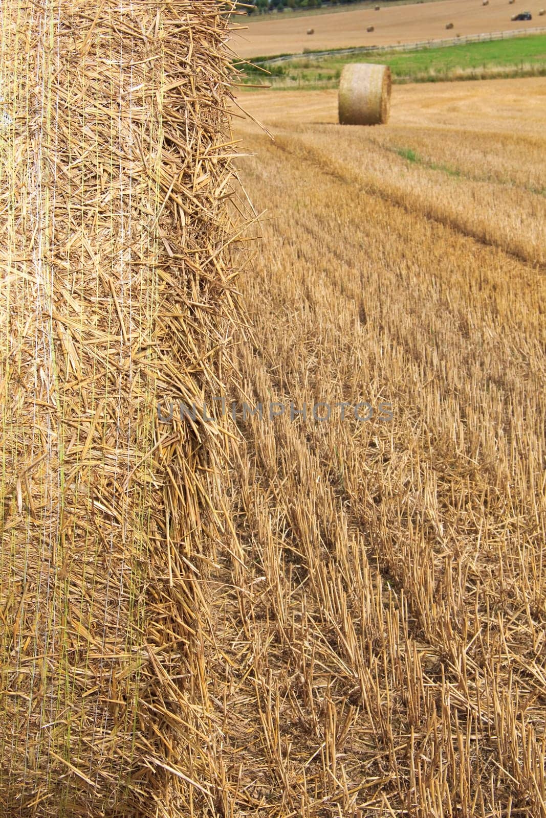 Hay Bale Bokeh 2