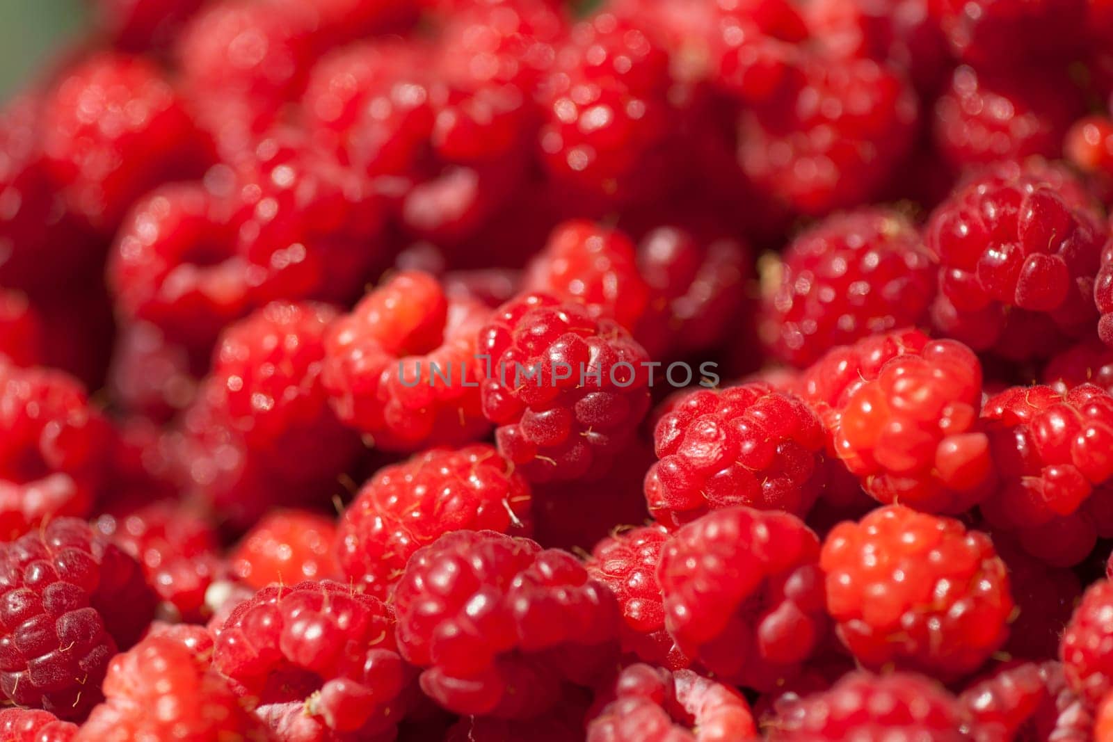 Red Fruit Raspberry background, macro shot