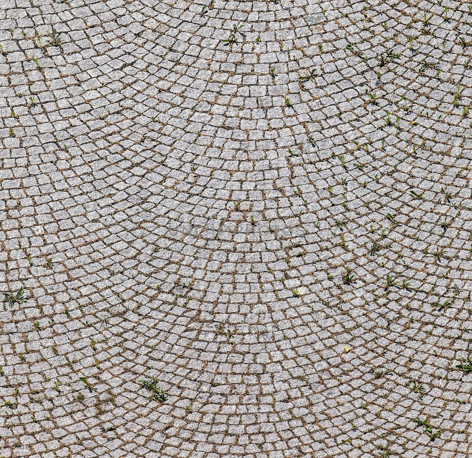 old historic cobble stone street with moss