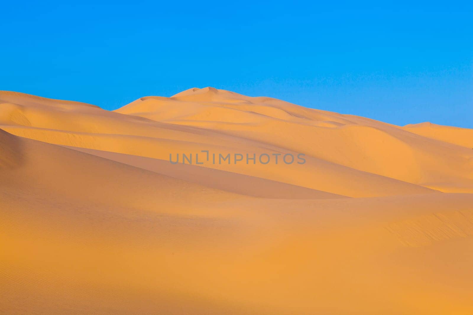 beautiful sand dune in sunrise in the desert