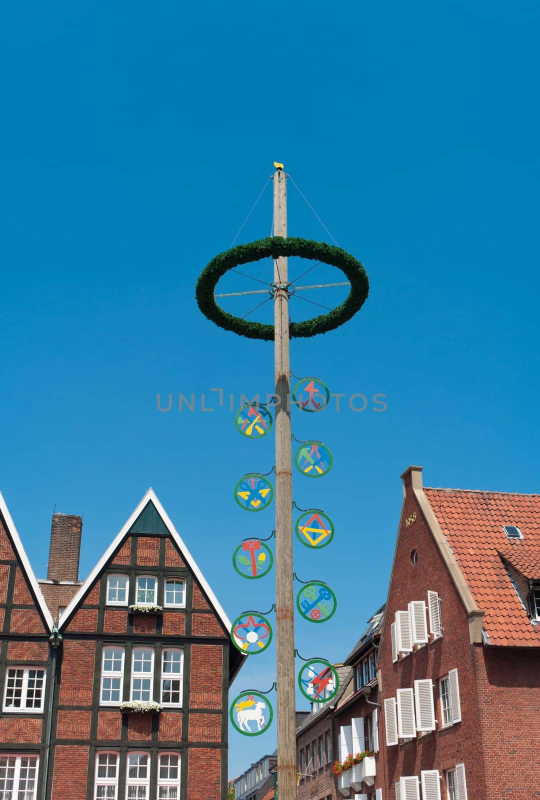 traditional bavarian maypole in Munster, Germany. In Germany and Austria the maypole (or Maibaum) is a tradition going back to the 16th century. It is a decorated tree or tree trunk that is usually erected either on 1 May  in Baden and Swabia - or on the