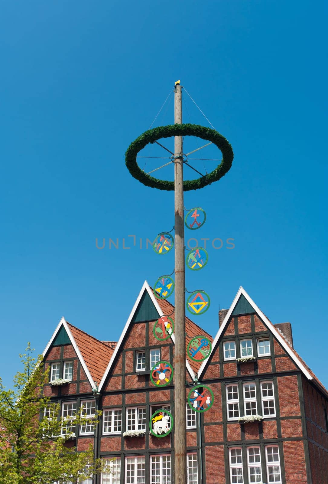 traditional bavarian maypole in Munster, Germany. In Germany and Austria the maypole (or Maibaum) is a tradition going back to the 16th century. It is a decorated tree or tree trunk that is usually erected either on 1 May  in Baden and Swabia - or on the