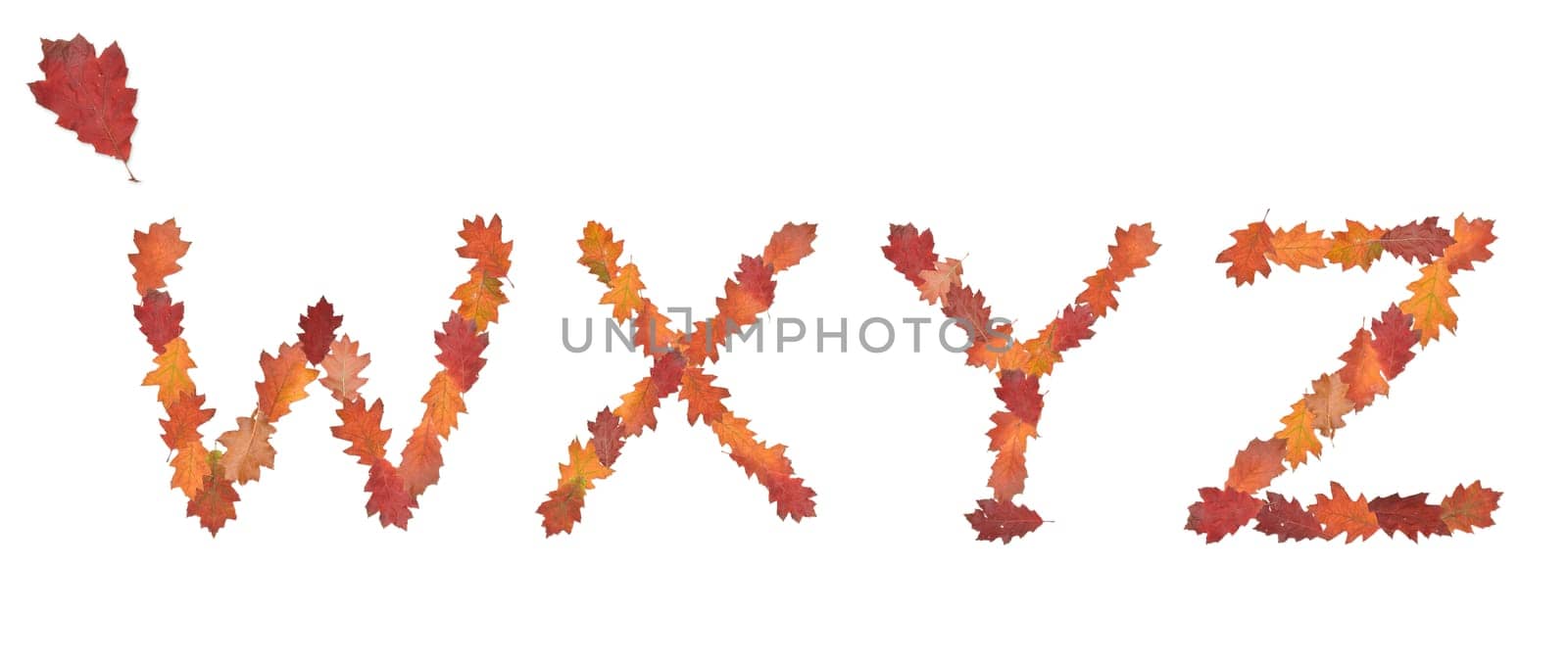 alphabet made of autumn leaves for education