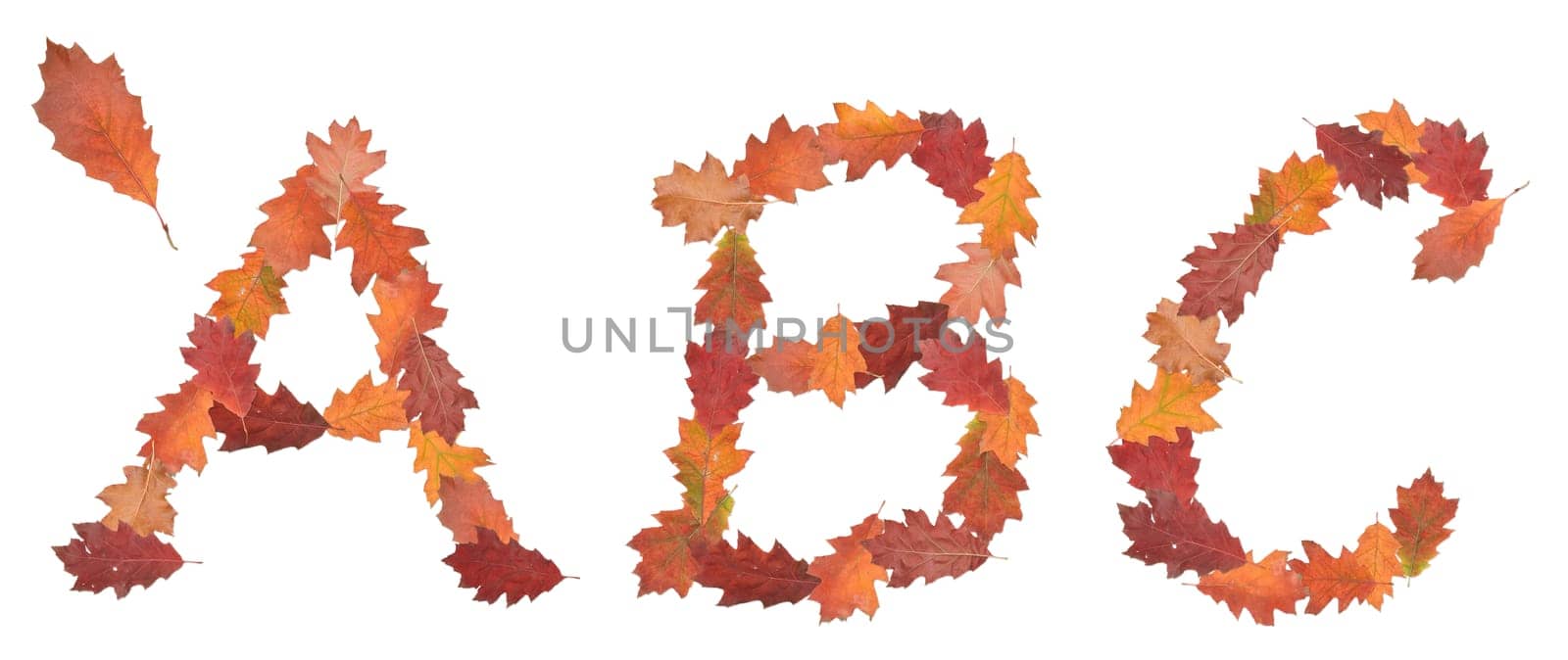 alphabet made of autumn leaves for education