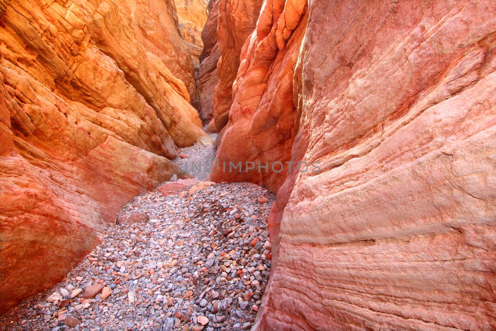 Anniversary Narrows slot canyon of the Lovell Wash in southern Nevada.