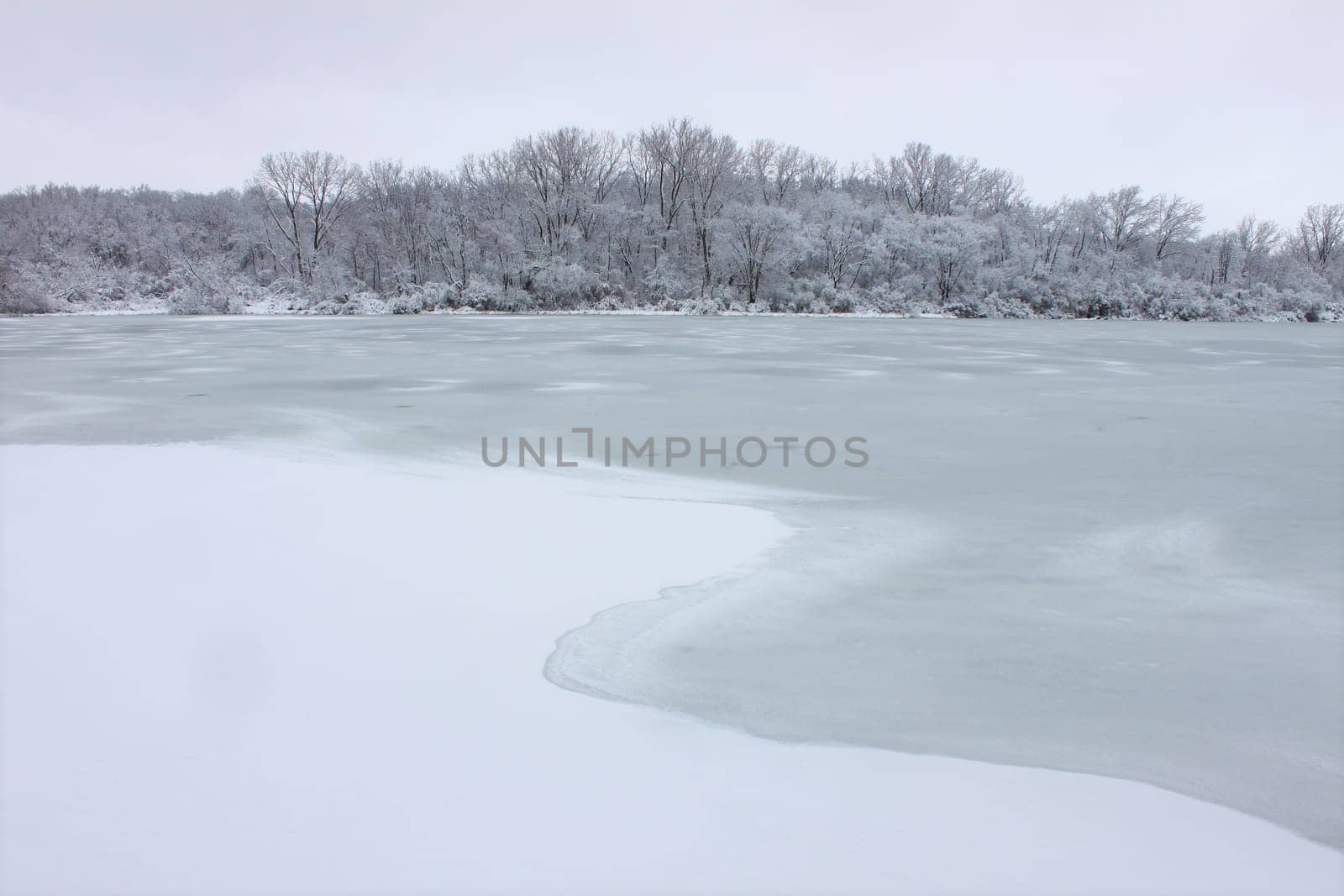 Fresh snowfall over a lake in northern Illinois on a cold winter day.