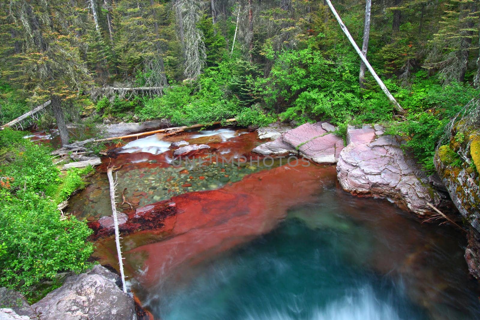 Beautiful mountain stream in Glacier National Park in Montana.