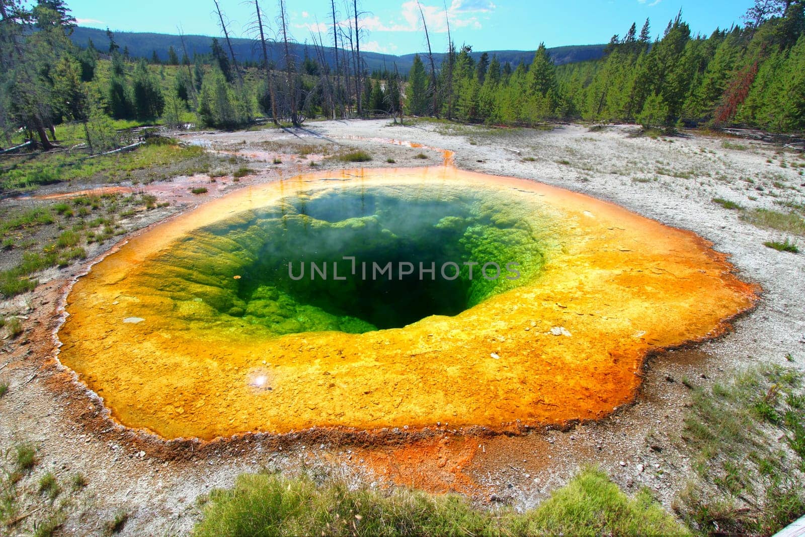 Bright colors of the Morning Glory Pool in Yellowstone National Park of Wyoming.