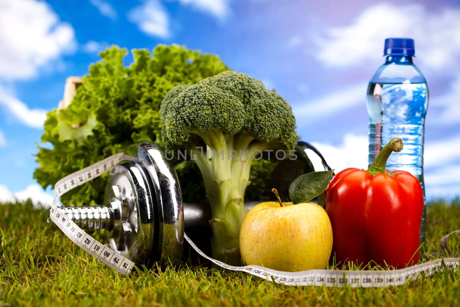 Fitness