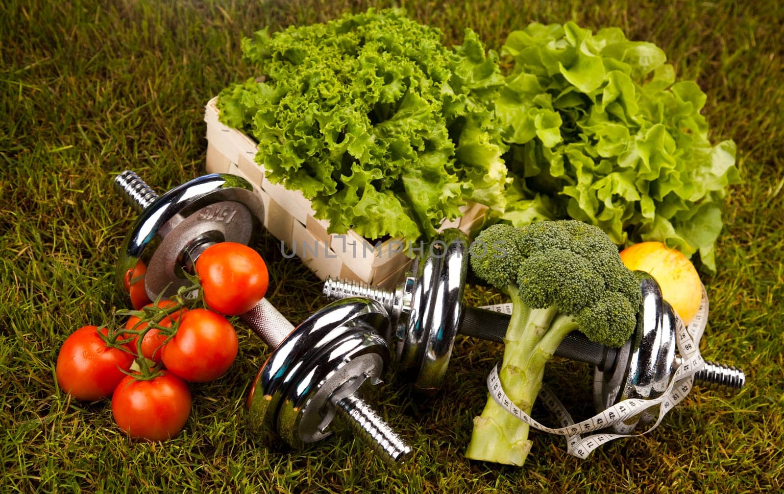 Fitness
